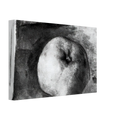 Apple - 1914 Canvas | Pablo Picasso Canvas | Pablo Picasso Shop